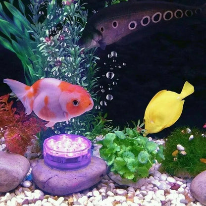Submersible LED Light