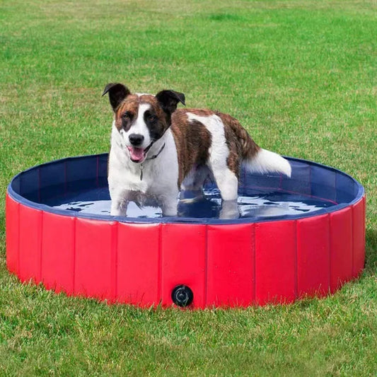 Foldable Dog Pool
