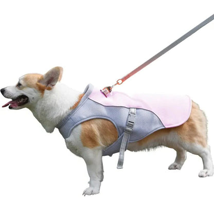 Dog Cooling Vest for Outdoor Activities