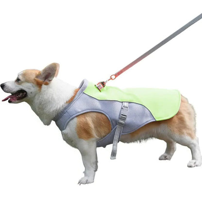 Dog Cooling Vest for Outdoor Activities