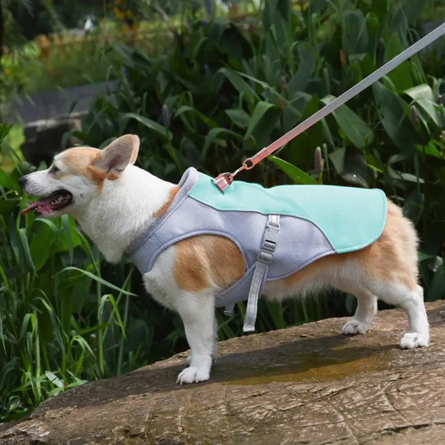 Dog Cooling Vest for Outdoor Activities