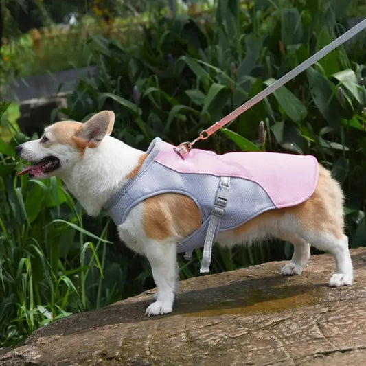 Dog Cooling Vest for Outdoor Activities