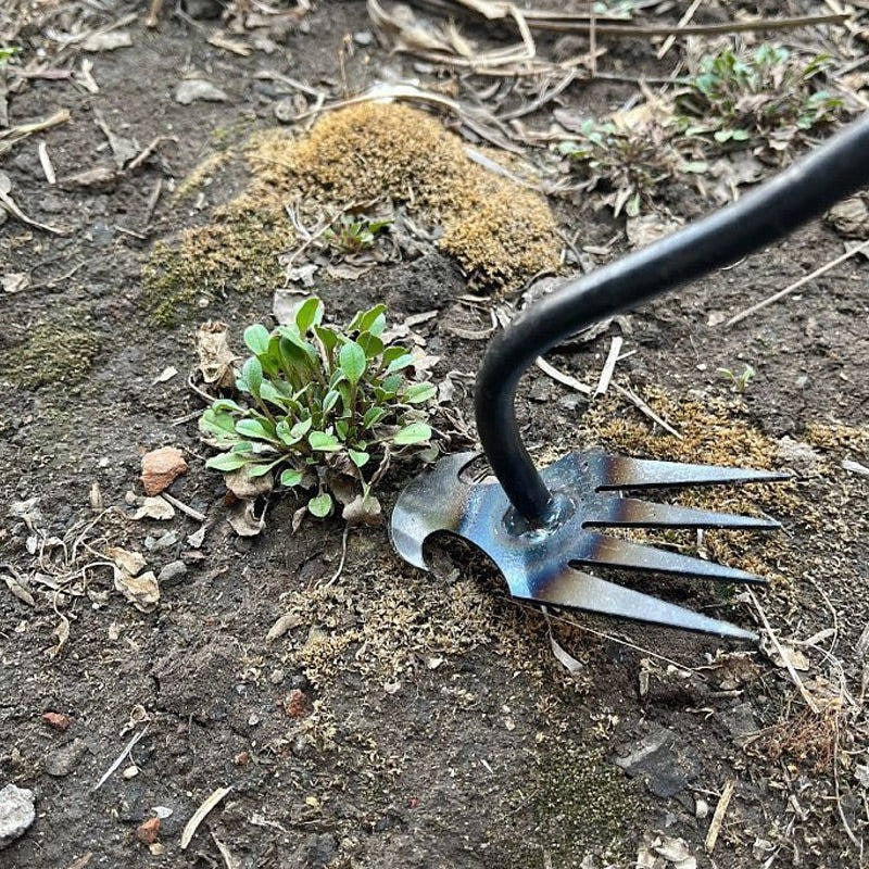 Weed Tool Remover