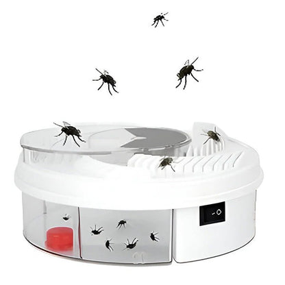 Highly Effective Fly Trap