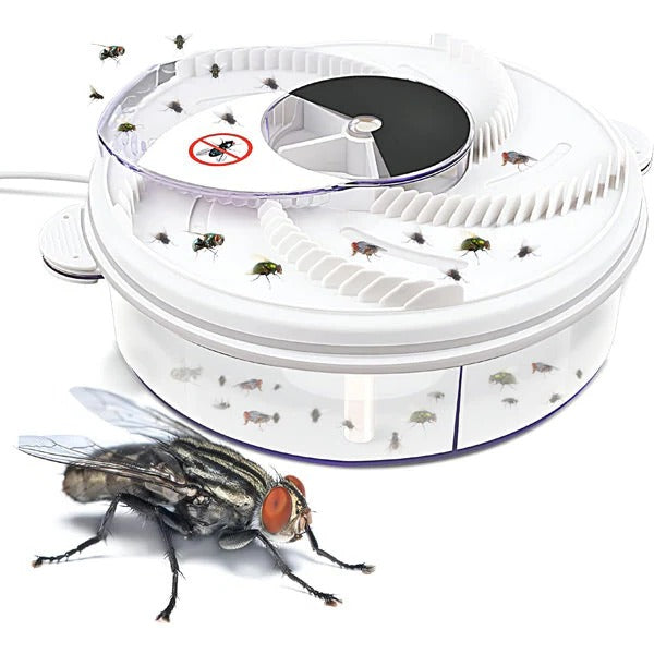 Highly Effective Fly Trap