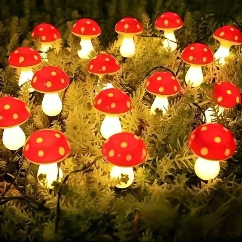 LED Solar Lights Outdoor Decorative