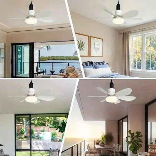 Ceiling Mounted Fan