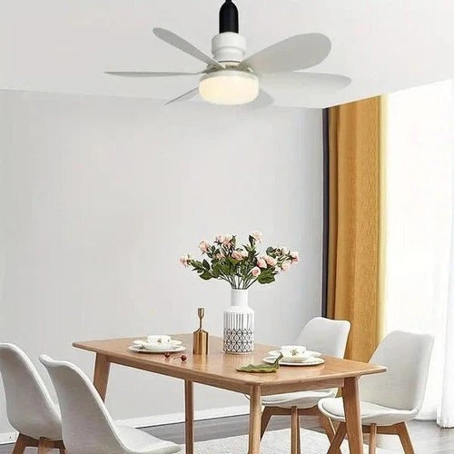 Ceiling Mounted Fan