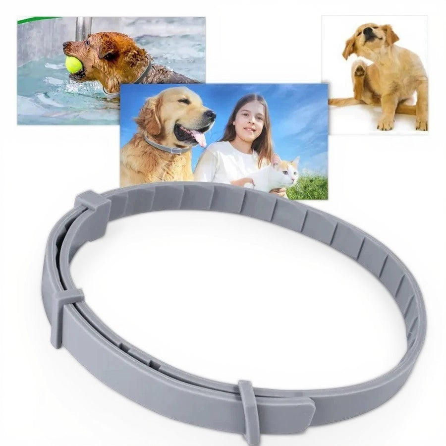 Adjustable Pet Flea and Tick Repellent Collar – For Dogs and Cats, Wat ...