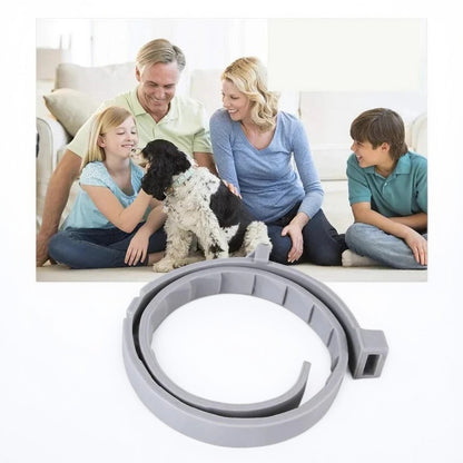 Adjustable Pet Flea and Tick Repellent Collar – For Dogs and Cats, Water-Resistant