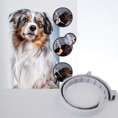 Adjustable Pet Flea and Tick Repellent Collar – For Dogs and Cats, Water-Resistant