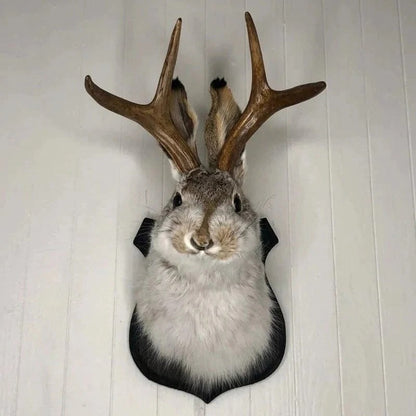 Jackalope Wall Decor