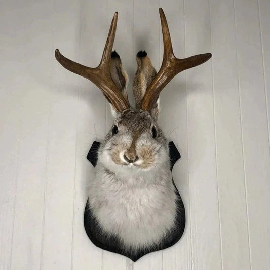 Jackalope Wall Decor