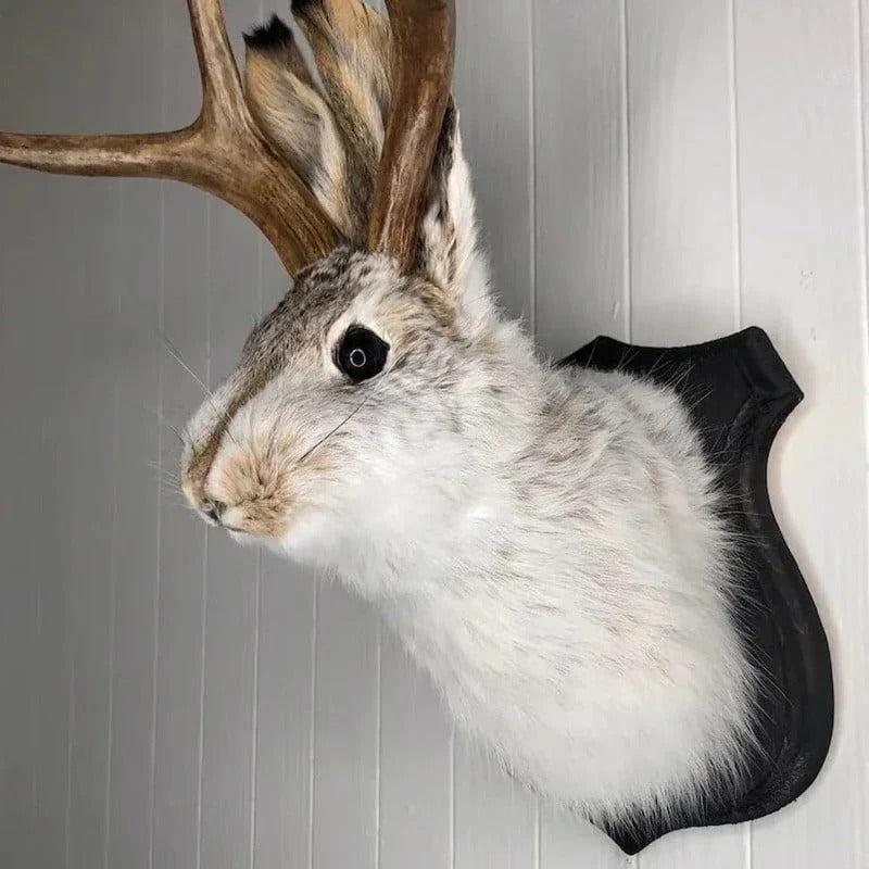 Jackalope Wall Decor