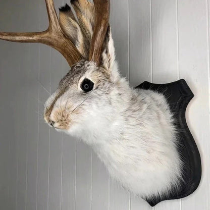 Jackalope Wall Decor