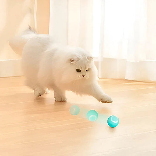 Interactive Pet Ball, Rolls Automatically