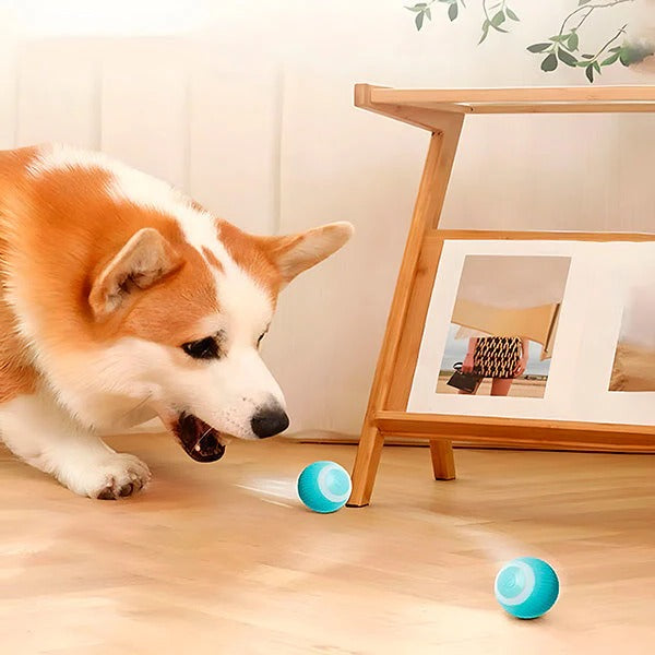 Interactive Pet Ball, Rolls Automatically