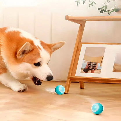 Interactive Pet Ball, Rolls Automatically