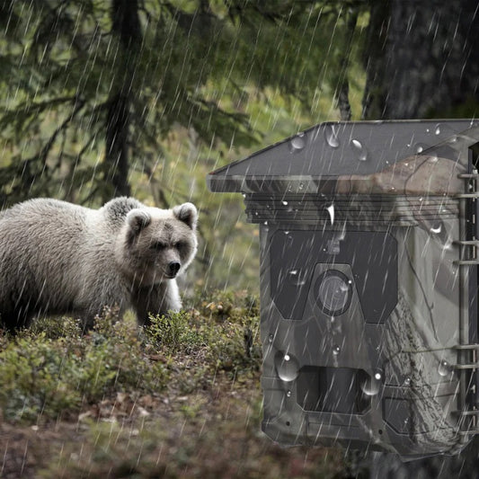 Solar Powered Night Vision Trail Camera