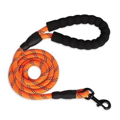Reflective Dog Leash with Comfortable Padded Handle
