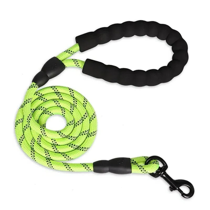 Reflective Dog Leash with Comfortable Padded Handle