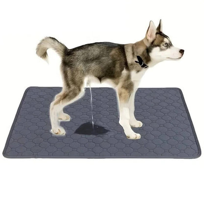 Reusable and Disposable Dog Training Pee Pads