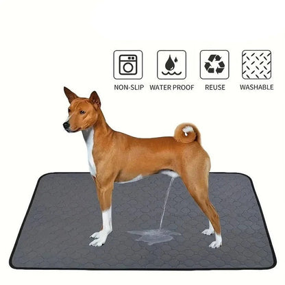 Reusable and Disposable Dog Training Pee Pads