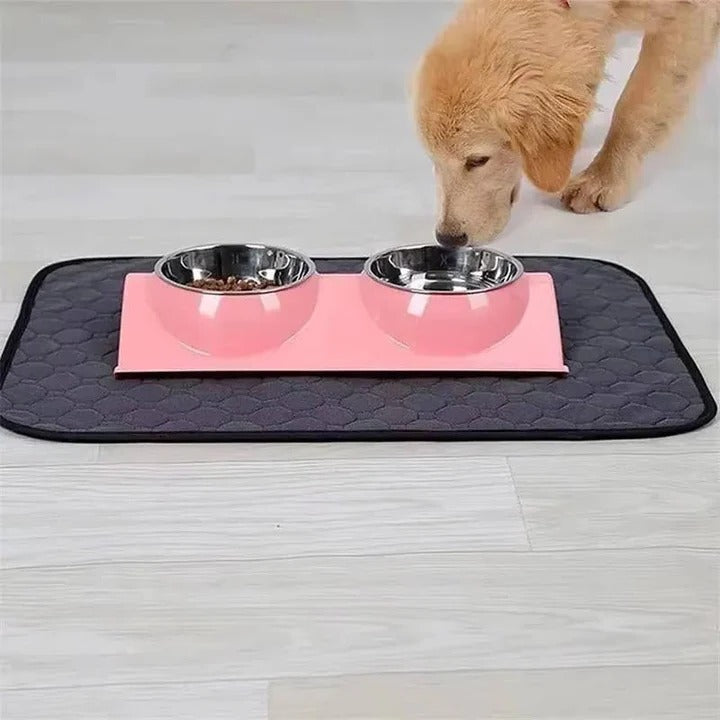 Reusable and Disposable Dog Training Pee Pads