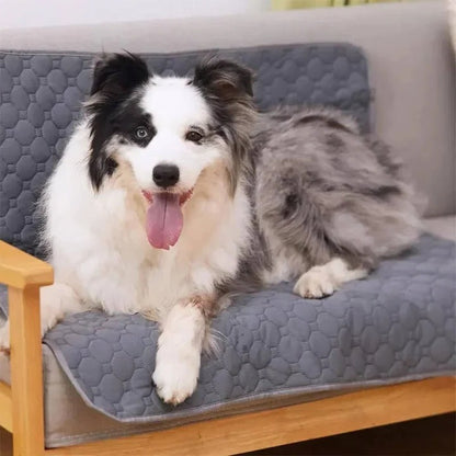 Reusable and Disposable Dog Training Pee Pads