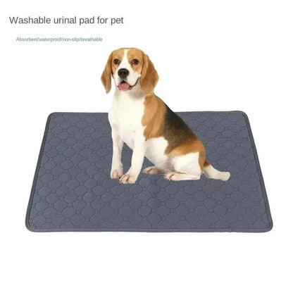 Reusable and Disposable Dog Training Pee Pads