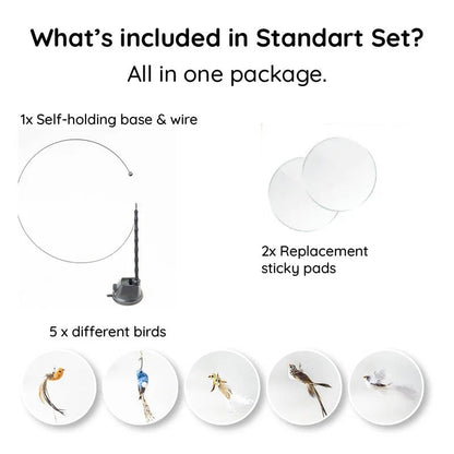 Interactive Cat Toy with Flexible Wire and Five Replaceable Birds, Suction Cup Base