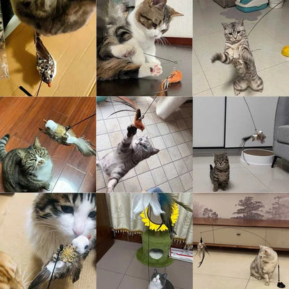 Interactive Cat Toy with Flexible Wire and Five Replaceable Birds, Suction Cup Base