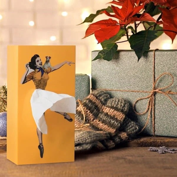 Modern Decorative Tissue Box with Flying Skirt Style Cover