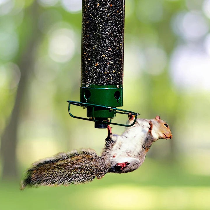 Durable Metal Bird Feeder with Cage Design to Deter Squirrels