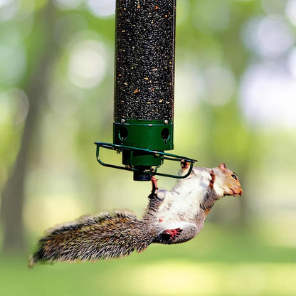 Durable Metal Bird Feeder with Cage Design to Deter Squirrels