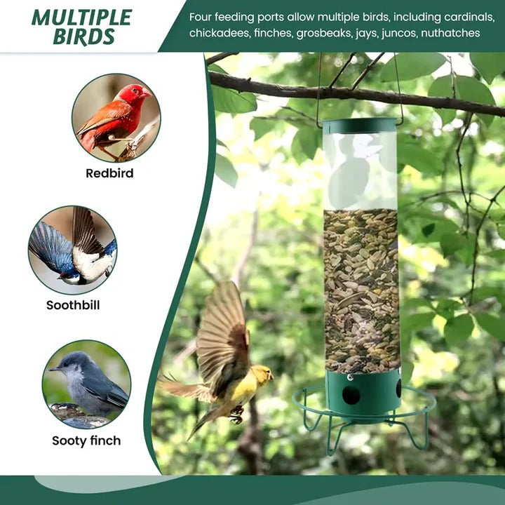 Durable Metal Bird Feeder with Cage Design to Deter Squirrels