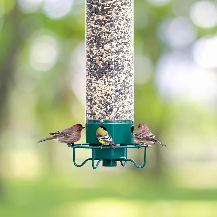 Durable Metal Bird Feeder with Cage Design to Deter Squirrels