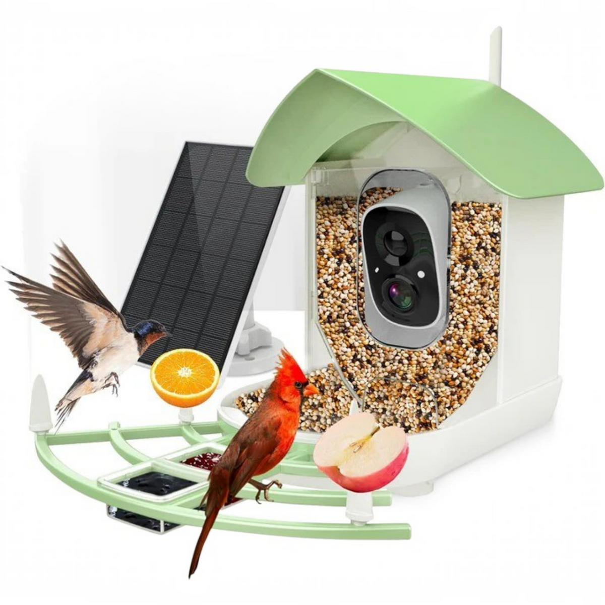 Solar Powered Smart Bird Feeder With WiFi Connectivity
