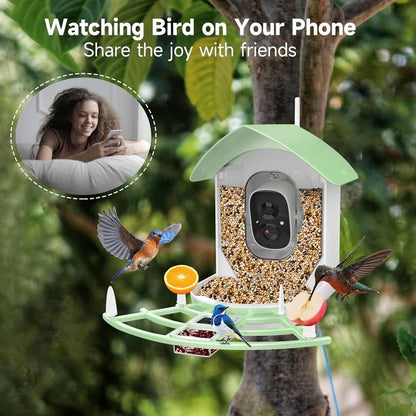 Solar Powered Smart Bird Feeder With WiFi Connectivity