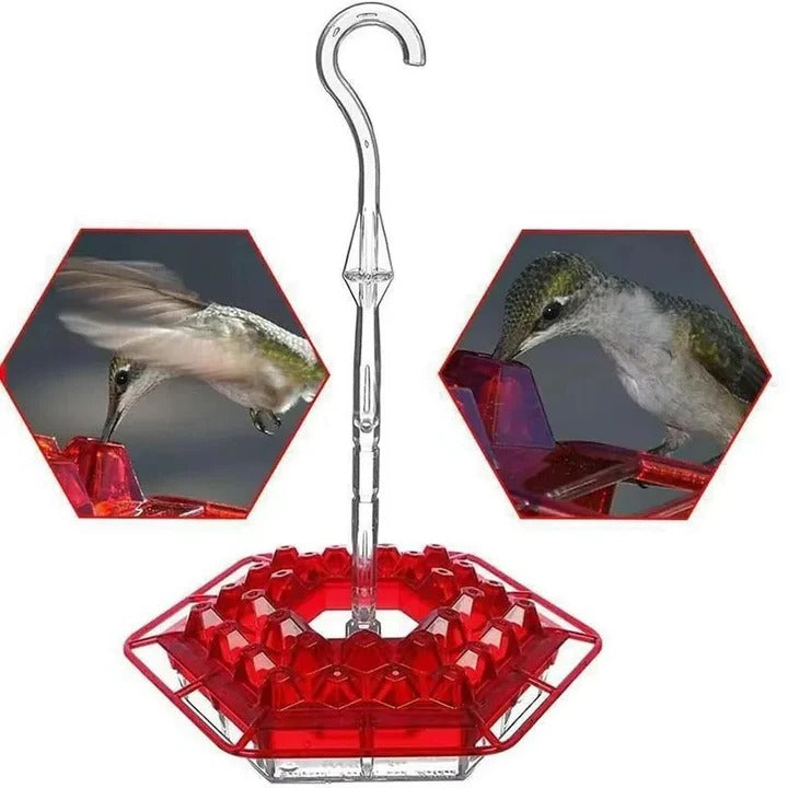 Hanging Hummingbird Feeder with Ant Guard and Resting Perch