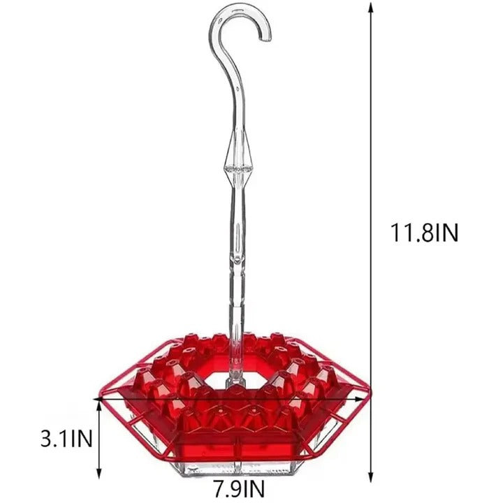 Hanging Hummingbird Feeder with Ant Guard and Resting Perch