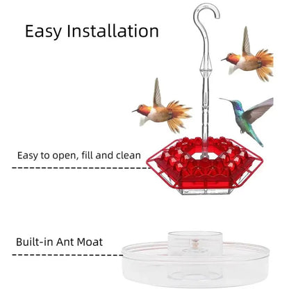 Hanging Hummingbird Feeder with Ant Guard and Resting Perch