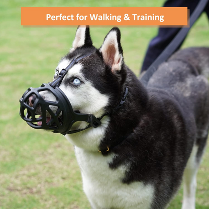 Dog Muzzle, Basket Muzzle for Biting, Chewing and Scavenging, Humane Cage Mouth Cover, Perfect for Grooming and Training Medium Aggressive Reactive Dogs (M, Black) allveramart