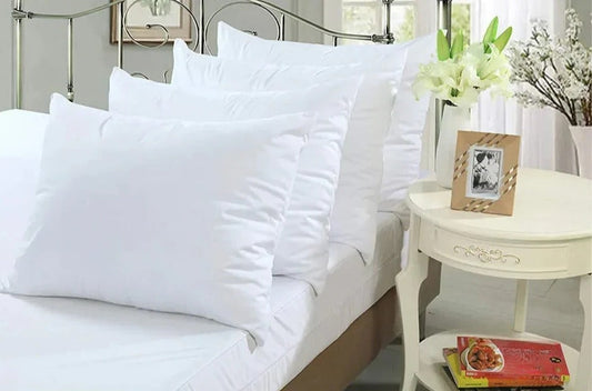 Waterproof Pillowcase for Bed Bug Control