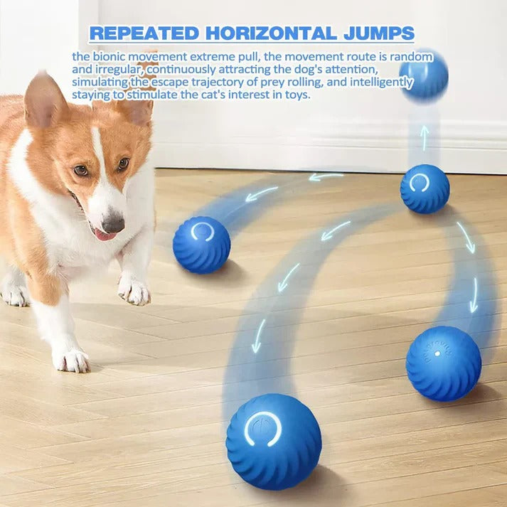 Smart Rolling Ball with Active Motion for Pet