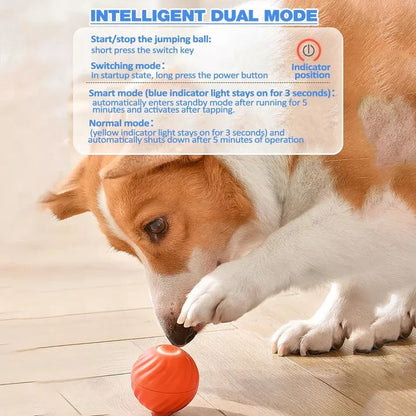 Smart Rolling Ball with Active Motion for Pet