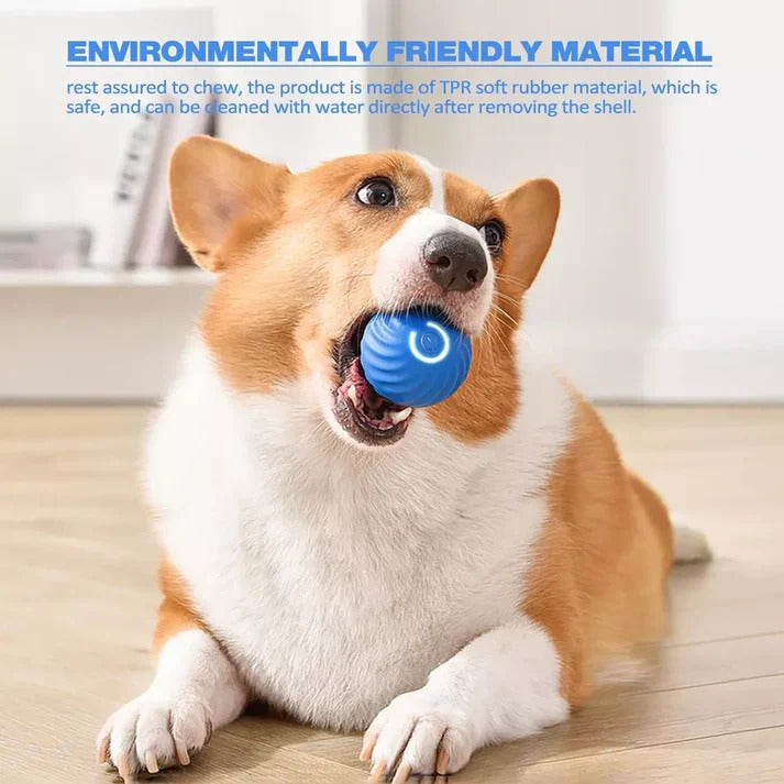 Smart Rolling Ball with Active Motion for Pet
