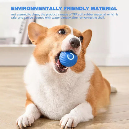 Smart Rolling Ball with Active Motion for Pet