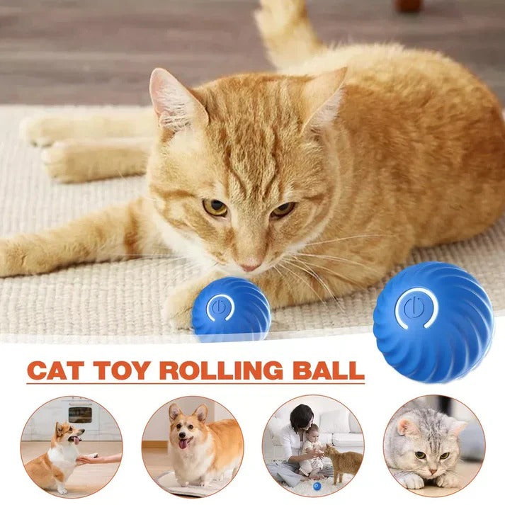 Smart Rolling Ball with Active Motion for Pet