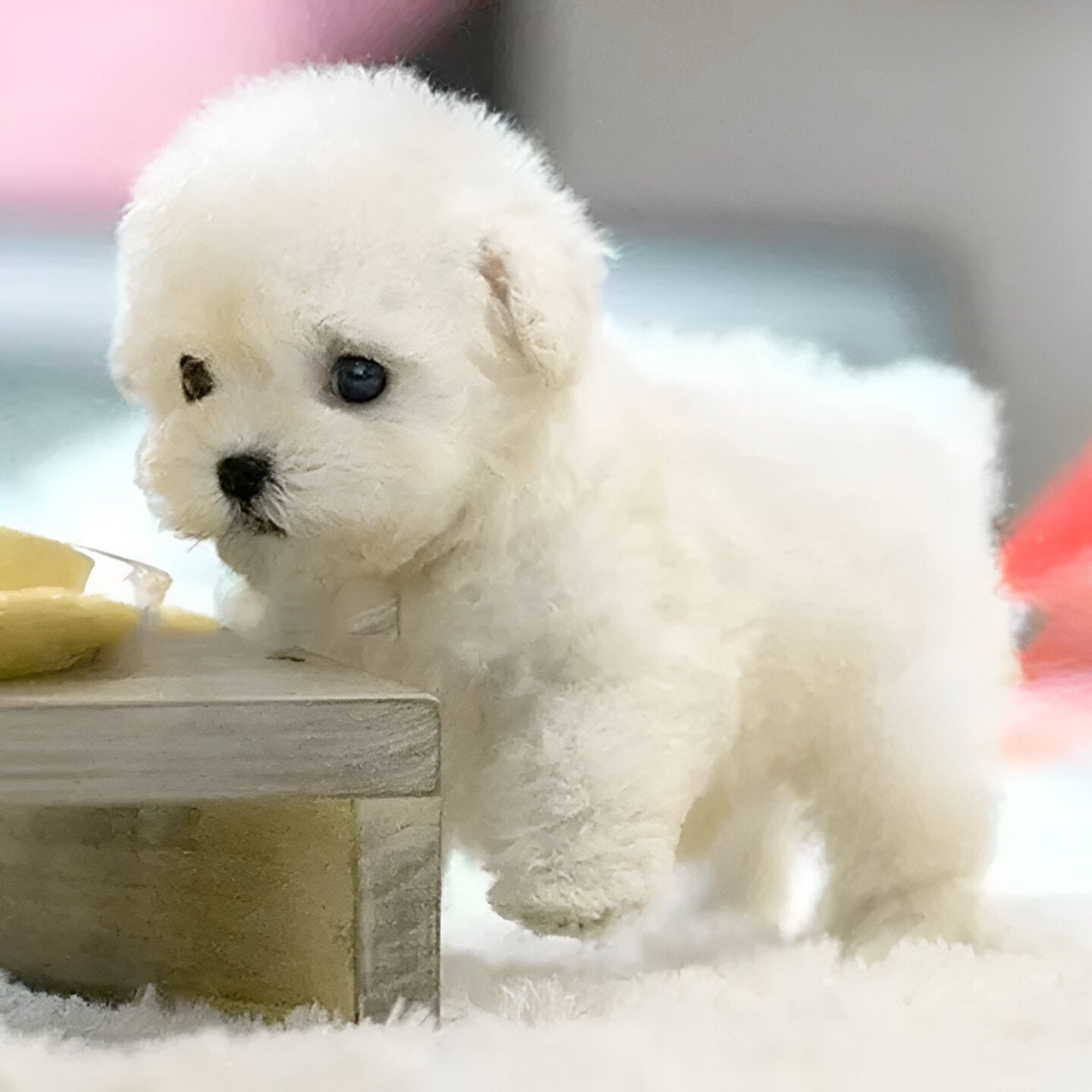 Robotic Puppy, Lifelike Puppy Toy for Kids